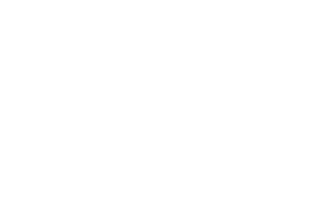 logo blanc mamzelle maria 1